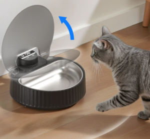 Daily Fresh Food Cat Bowl F25-L 35