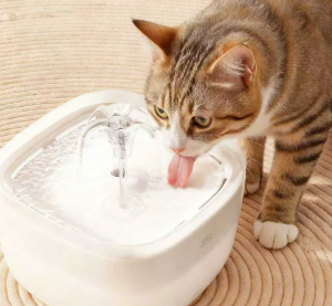 Little Grass Simple Water Fountain W7 59