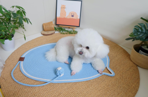oval sleeping pad for cats and dogs