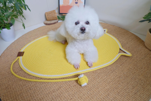 oval sleeping pad for cats and dogs