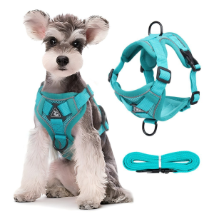 Dog & Cat Vest Harness with Leash - Reflective Breathable Pet Walking Leash for Puppies & Kittens